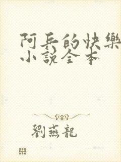 阿兵的快乐生活小说全本