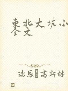 东北大坑小说儿全文
