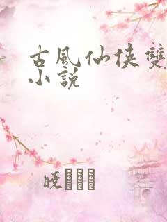 古风仙侠双男主小说