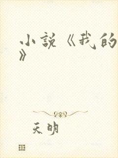 小说《我的岳母》