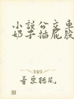 小说公交车上摸奶子插屁股线阅读