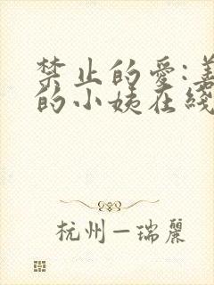 禁止的爱:善良的小姨在线观看