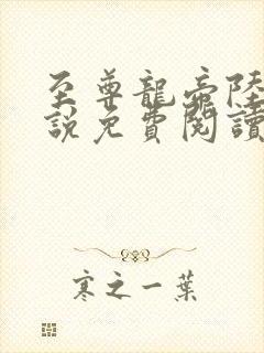 至尊龙帝陆鸣小说免费阅读