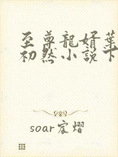 至尊龙婿叶辰萧初然小说下装电子书