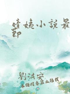 晴姨小说最新章节