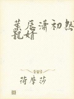叶辰潇初然上门龙婿