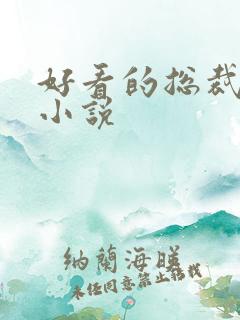 好看的总裁完结小说
