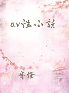 av性小说