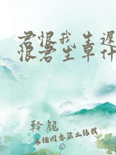 君恨我生迟,我恨君生早什么意思