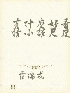 有什么好看的言情小说尺度大的