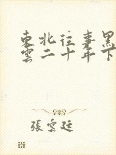 东北往事黑道风云二十年下载