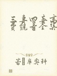 三妻四妾高清免费观看全集