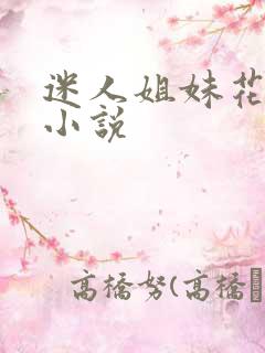 迷人姐妹花陈刚小说