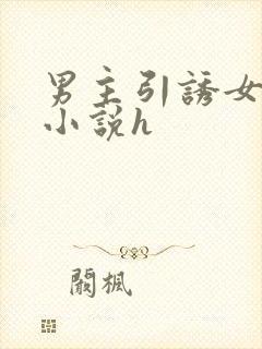 男主引诱女主的小说h