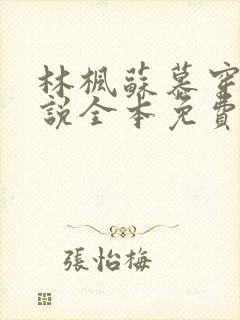 林枫苏慕穿越小说全本免费阅读