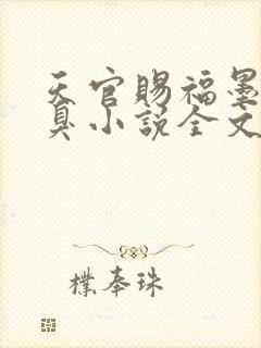 天官赐福墨香铜臭小说全文阅读免费