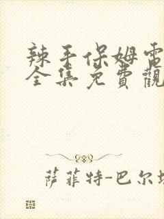 辣手保姆电视剧全集免费观看