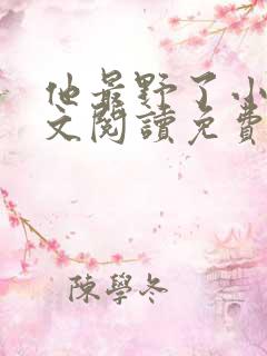 他最野了小说全文阅读免费