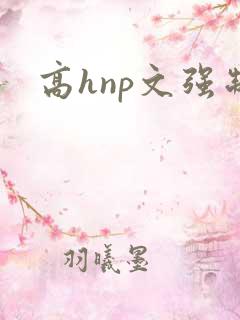 高hnp文强制