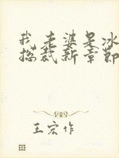 我老婆是冰山女总裁新章节沈浪
