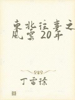 东北往事之黑道风云 20年