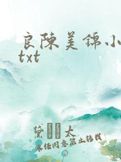 良陈美锦小说.txt