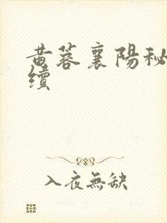 黄蓉襄阳秘史后续