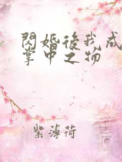 闪婚后我成大佬掌中之物