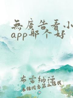 无广告看小说的app哪个好