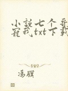 小说七个哥哥团宠我txt下载