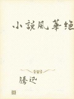 小说风华绝代