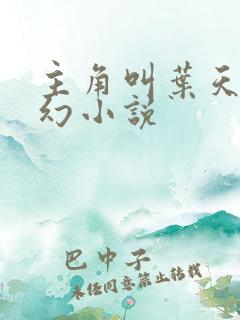 主角叫叶天的玄幻小说