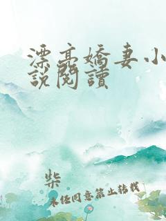 漂亮娇妻小颖小说阅读