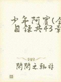 少年阿宾(全) 目录共43章