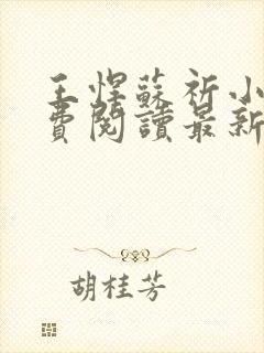 王悍苏祈小说免费阅读最新章节无弹窗