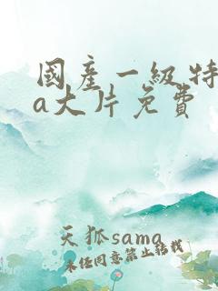 国产一级特黄aa大片免费