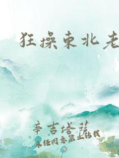 狂操东北老熟妇