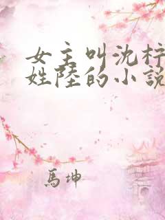 女主叫沈柠男主姓陆的小说