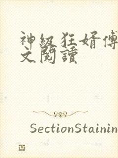 神级狂婿傅天全文阅读