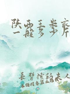 陕西玉米亩产量一般多少斤