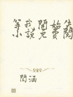 等我开始失去你小说免费阅读
