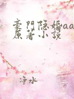 豪门隐婚aa制原著小说