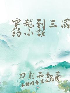 穿越到三国时期的小说