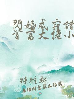 闪婚成宠错嫁了首富大佬小说