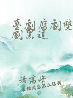 台剧腐剧双男主剧黑道