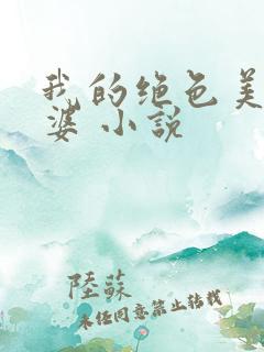 我的绝色美女老婆 小说