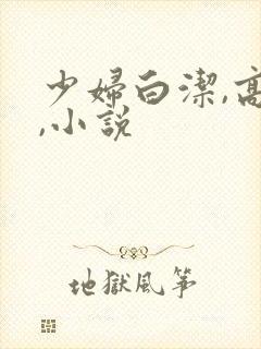 少妇白洁,高义,小说