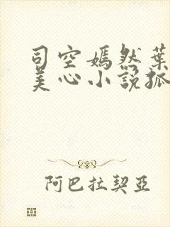 司空嫣然叶凡林美心小说孤寂之狼