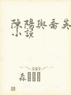 陈阳与乔英姿的小说