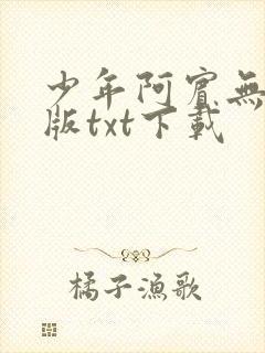 少年阿宾无删减版txt下载